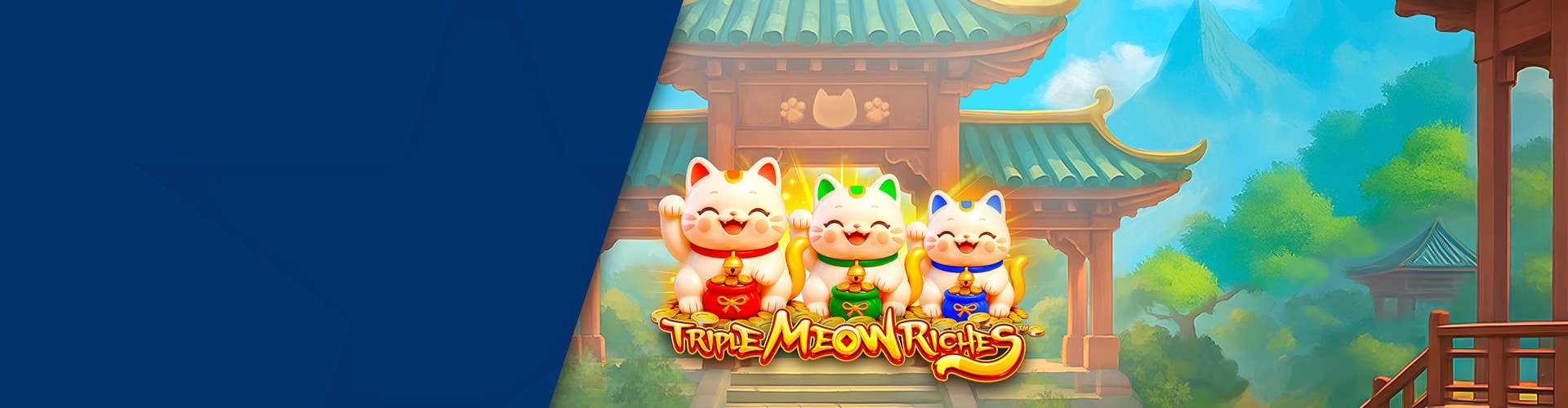 Novità: slot con potere felino