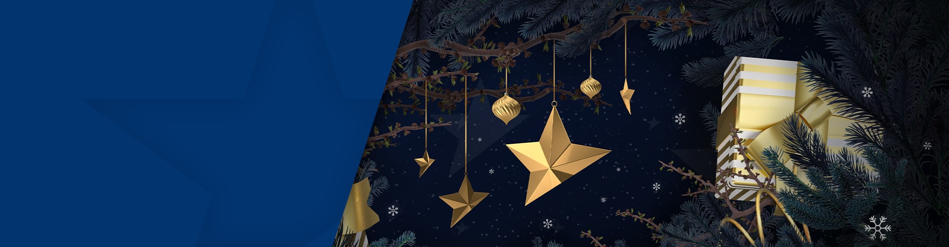 Benvenuti al nostro calendario dell’Avvento! 🎄